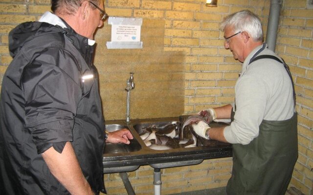 Fuglsang Apartments Langeland