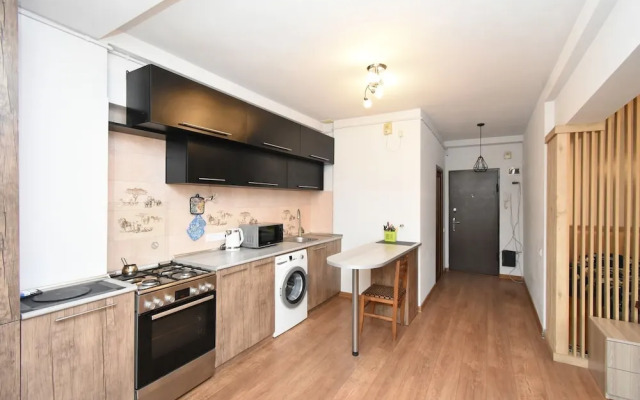 Sunny apartment on Pushkin street