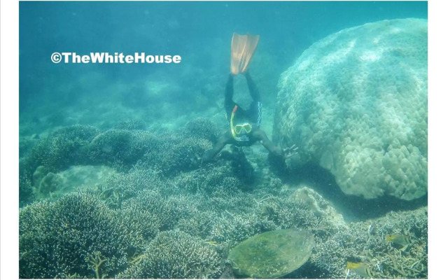 The White House