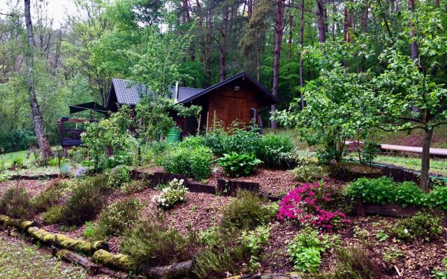 Cozy Chalet in Bousseviller Lotharingen With Private Sauna
