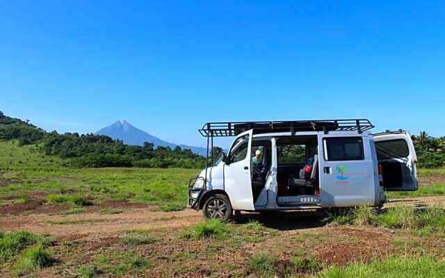 4 Pohon - Les 4 Arbres