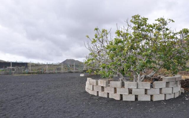 La Casita de Mari Carmen
