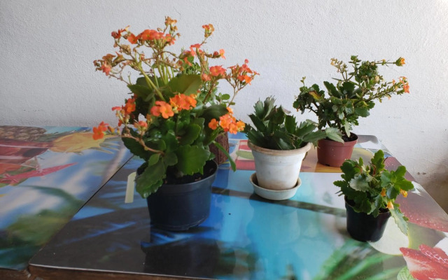 Casa vista para montanha Pet Friendly