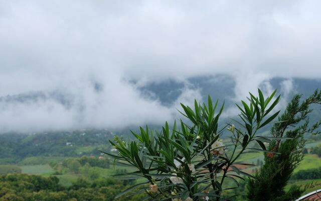 Chochao Khao Kho