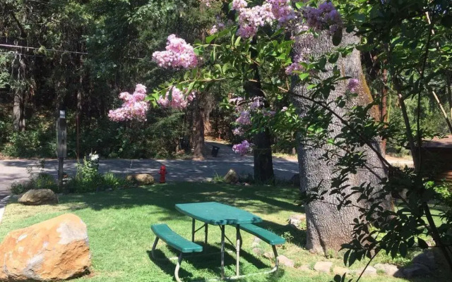 Dunsmuir Lodge