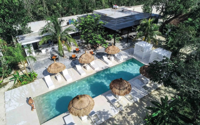 Jungle Lodge Boutique Hotel Adults Only