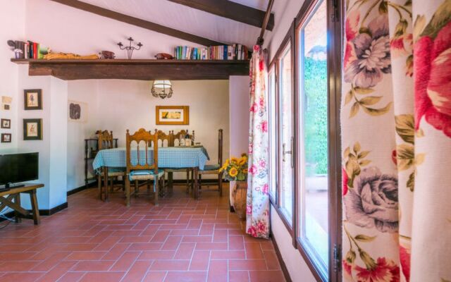 Bardeggiano - Caterina 3 (COL246)