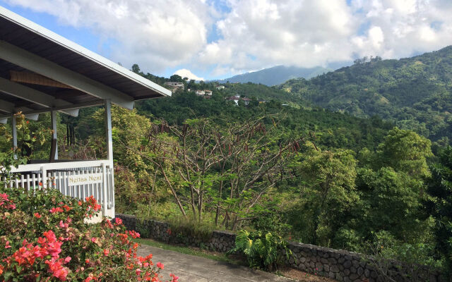 Neita's Nest - Jamaican Bed & Breakfast