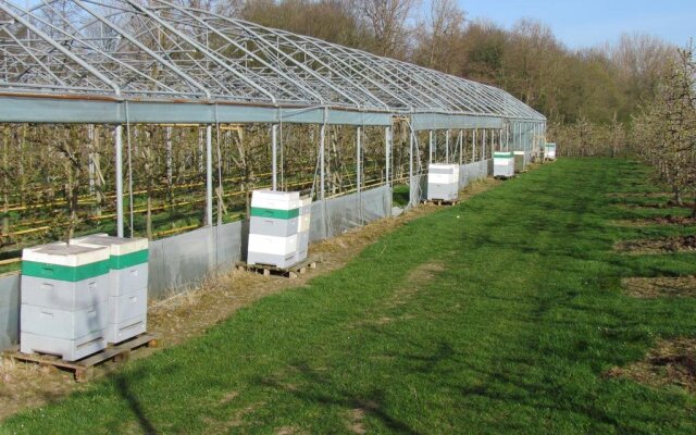 B&B Cherryfarm