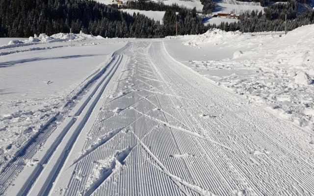Appartement Mühlebnerhof