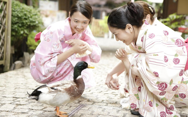 Hakone Yumoto Onsen Tenseien