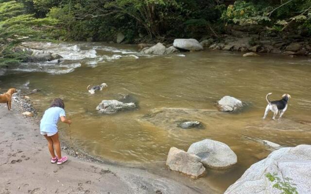 Tayrona Cachaco River