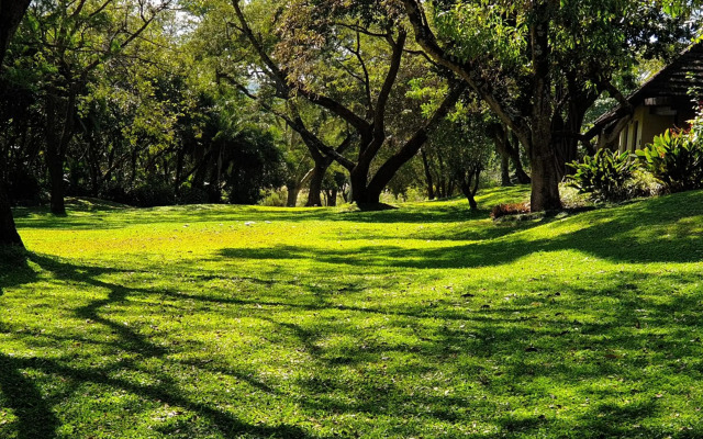 Sabi River Sun Resort