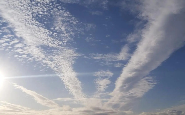 The Sparrow's Nest Beach-Front Self-catering