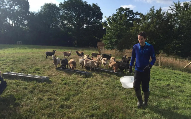Upper Vobster Farm