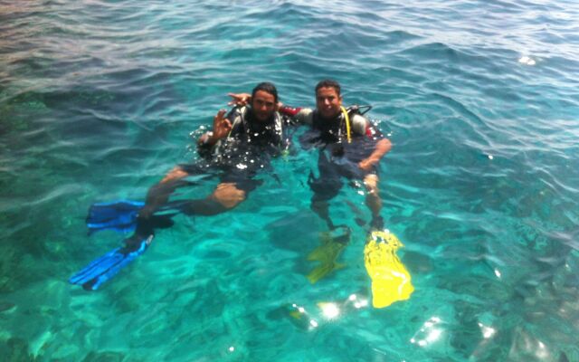 Shark Bay Oasis