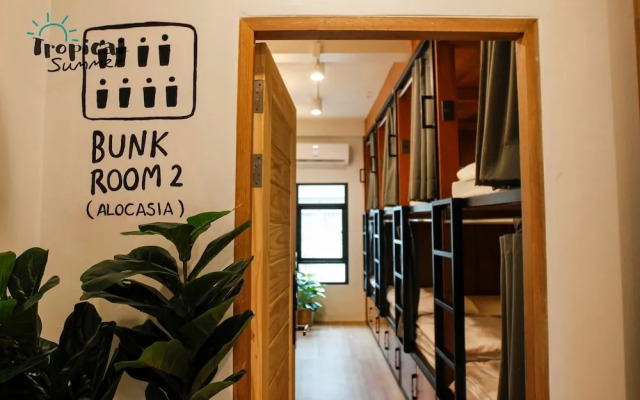 Tropical Summer Hostel