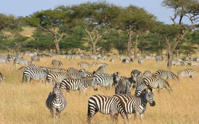 Naboisho Camp