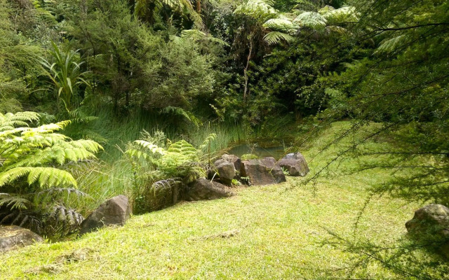 Treetop Oasis - Tairua Executive Holiday Home