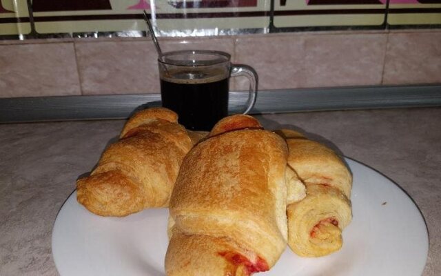 Жилые помещения Ksusha Voronezh Central