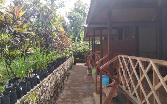 Blue Mountain Cottage