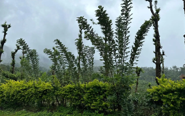 Sherlock Retreat - Yamini Green