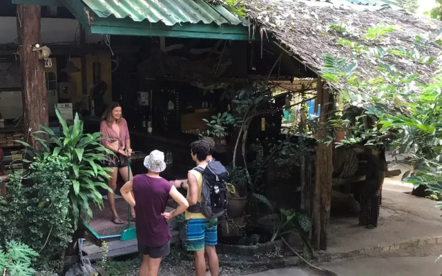 Chill Out Jungle Bungalows