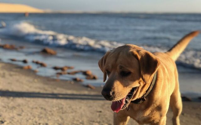 MyM Jericoacoara