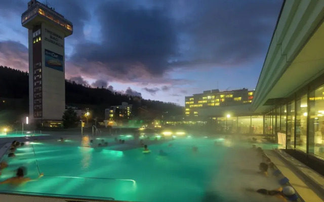 Dorint Parkhotel Bad Zurzach