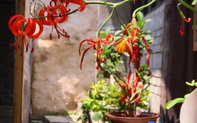 Cuanshe Boutique Hostel