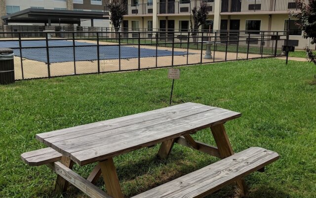 Super 8 Williamsburg