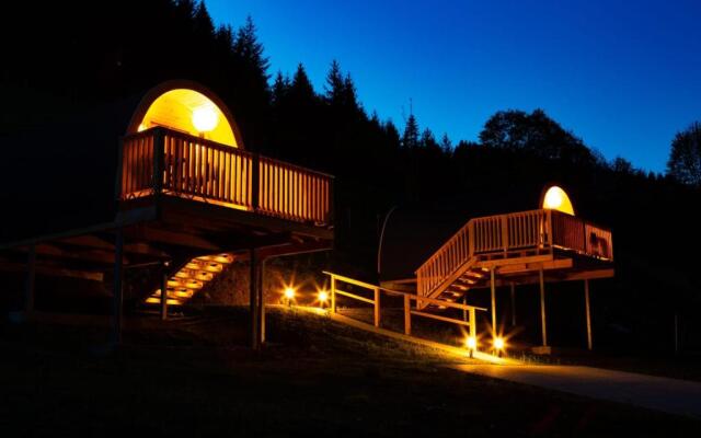 Frankenwald Chalets - Chalets