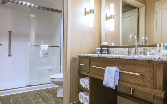 Hampton Inn Houston Downtown