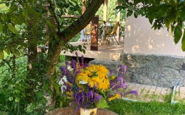 3 Bedroom House In The National Park of Dilijan