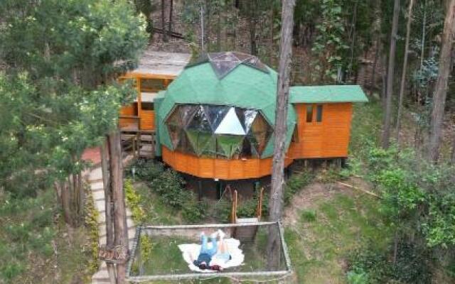 Libélula Glamping
