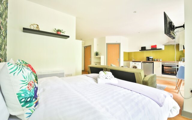 Princess Lofts Studios - Swansea City Centre