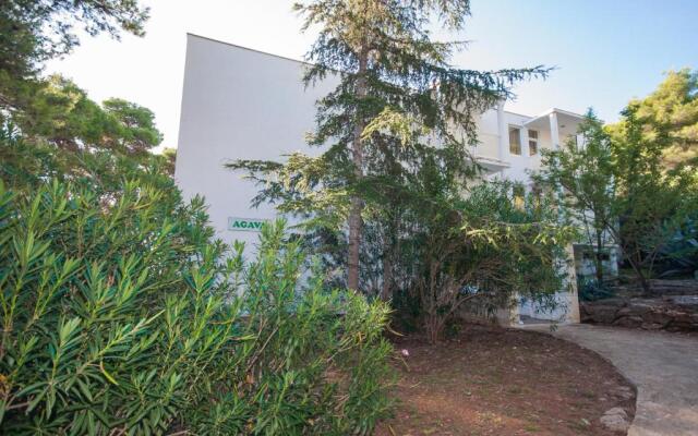 Hotel Agava
