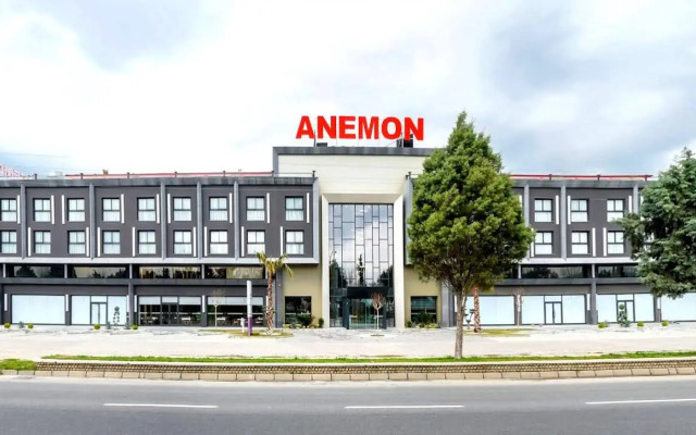 Anemon Aydın