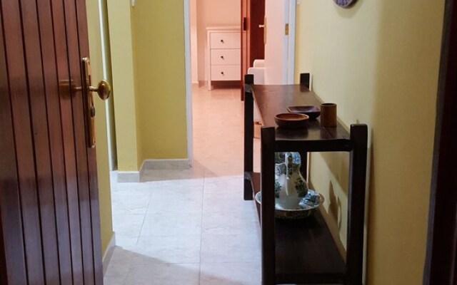Vcv Apartamento León Y Castillo