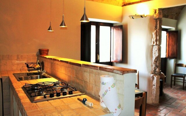 Orso - Parco Nazionale d'Abruzzo