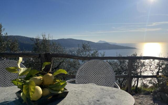 Bed and Breakfast Elisabeth