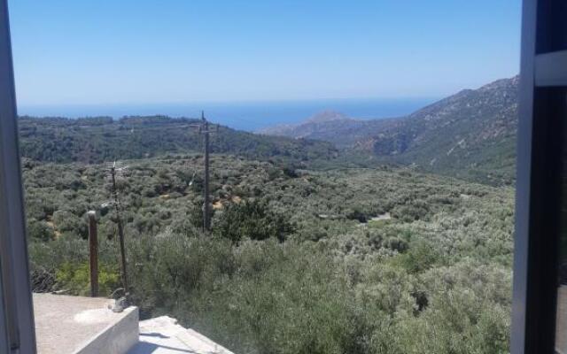 view home