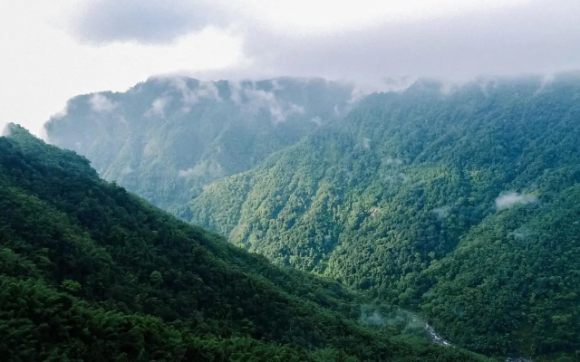 SaffronStays Cliff Haven, Wayanad