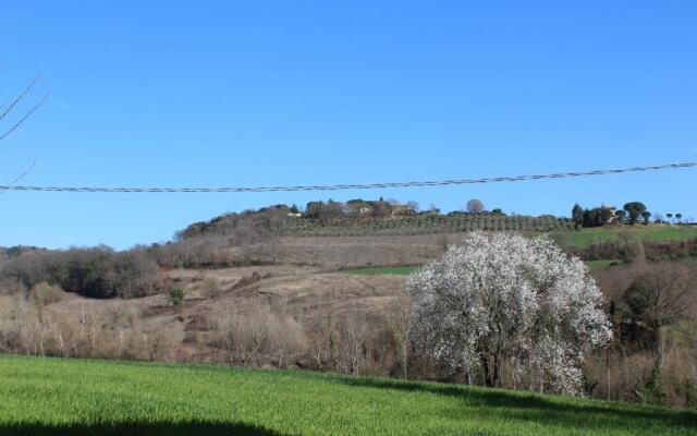 Fattoria di Rigone