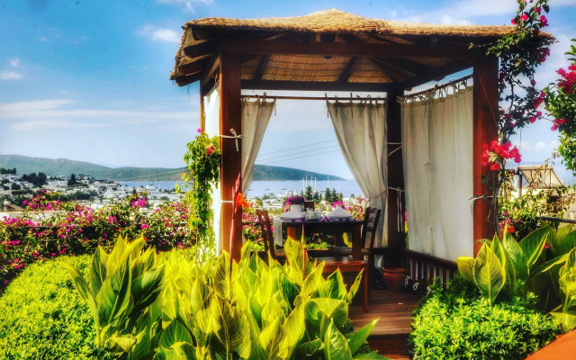 El Vino Hotel Suites - Special Class