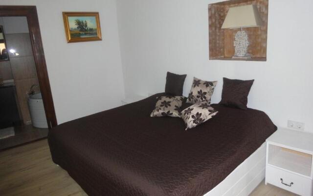 Luxury Central apartment in Sibiu