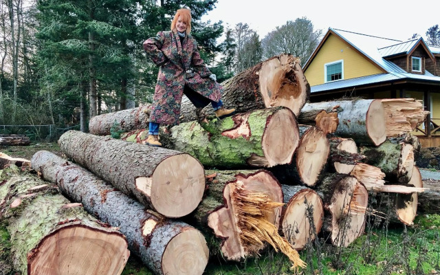 Seagull Studio Vacation Guest Suite