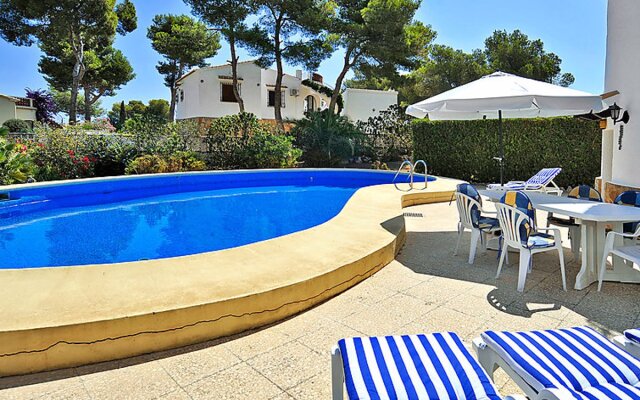 House Wolf Javea