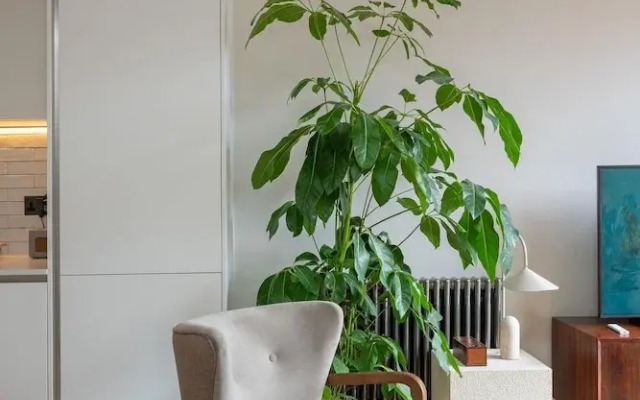 Stylish City Flat With Private Balcony