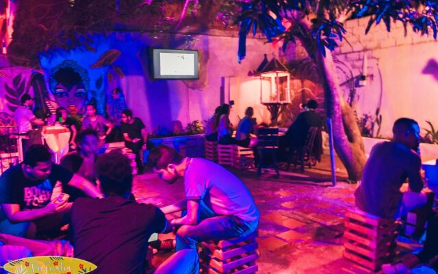 Casa Tropicalia - Hostel